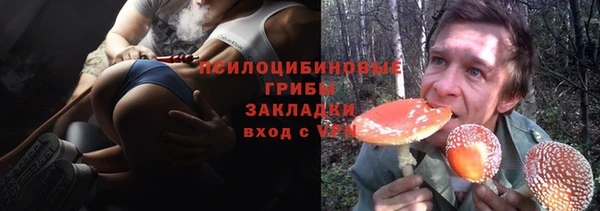 ГАЛЛЮЦИНОГЕННЫЕ ГРИБЫ Нефтегорск
