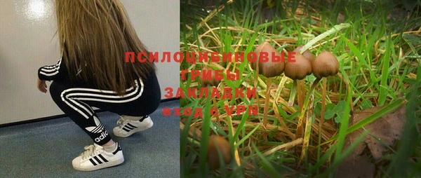 МДПВ Нефтекумск